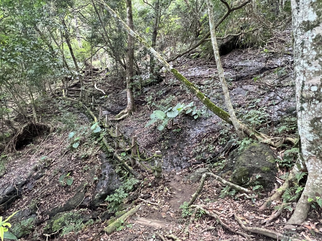 2023-08-13 馬那邦山（馬拉邦山）_2251262