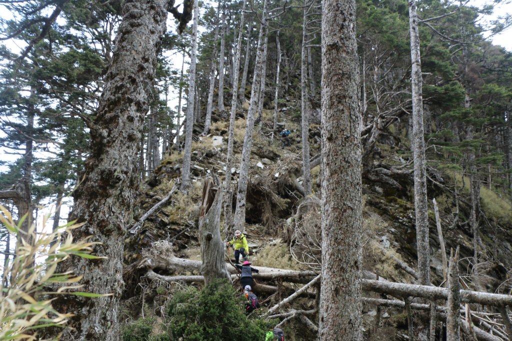 畢祿山與羊頭山_1734503