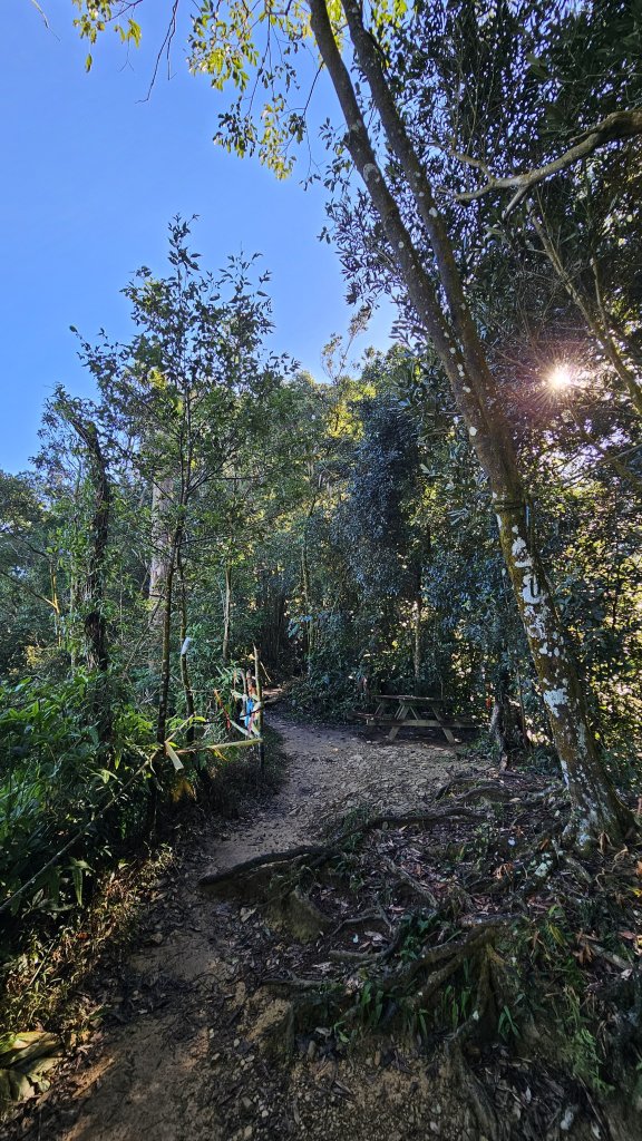 【尾寮山靜修日：一人一山，一念清明，山無語，我自省】🌿_2937944