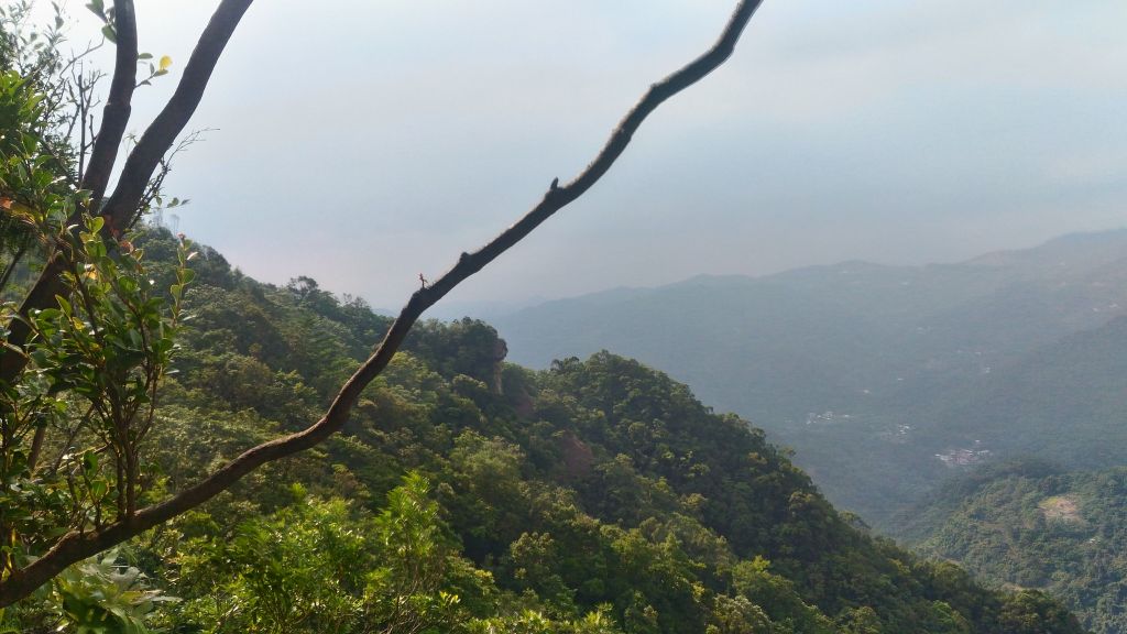 前往皇帝殿拉!!!_177980