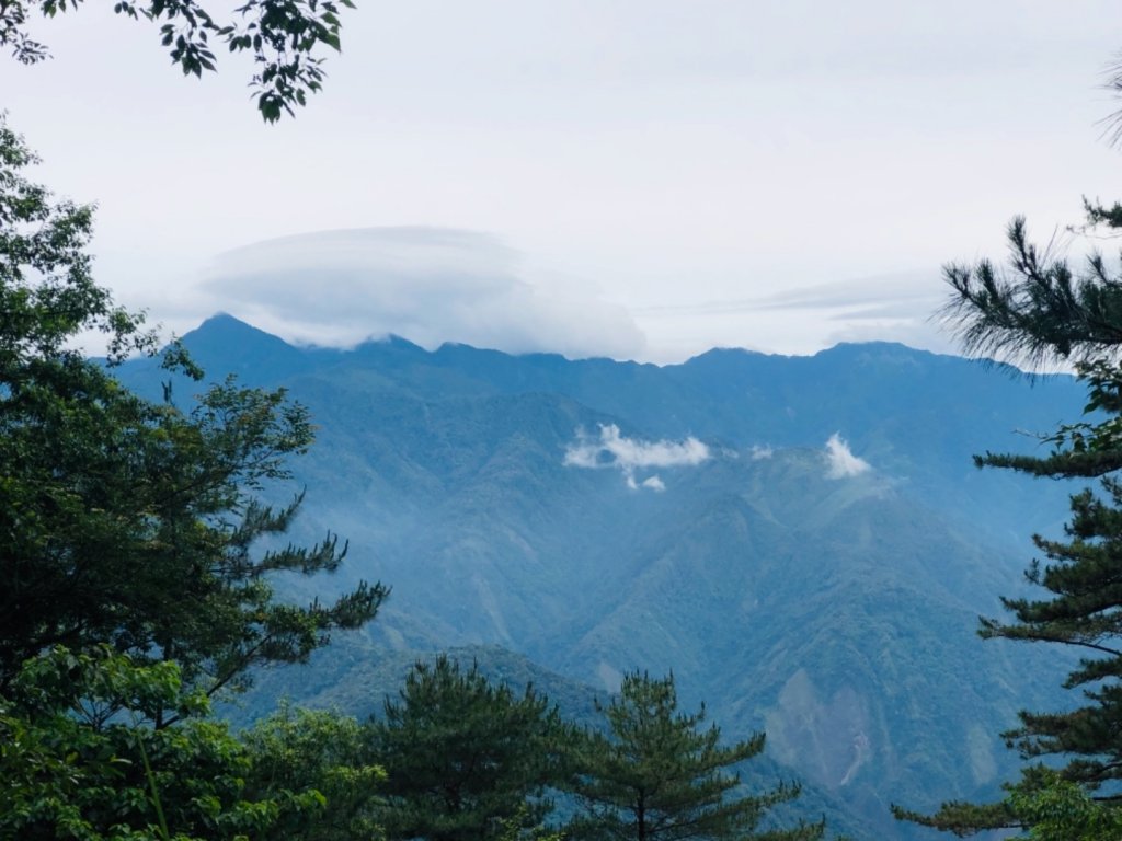 1080622東洗水山_617501