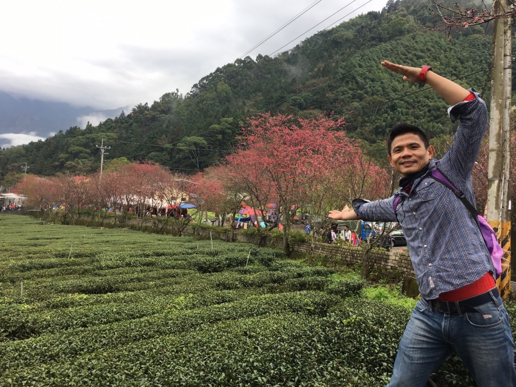 離開舒適圈 雨中賞花 霧中看山之草坪頭.東埔彩虹瀑布遊記封面圖