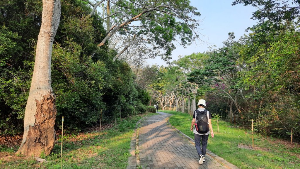 《台中》森林公園｜台中都會公園大O繞20230409_2102719