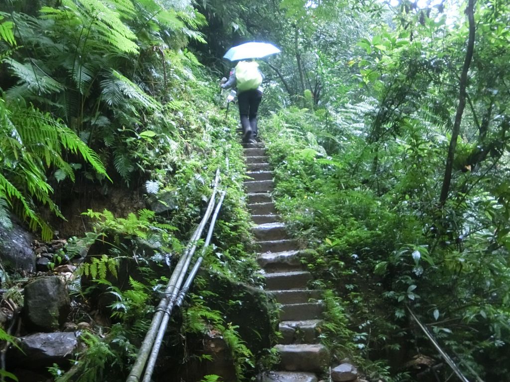 豹山溪步道．獅山．象山．和興炭坑_199007