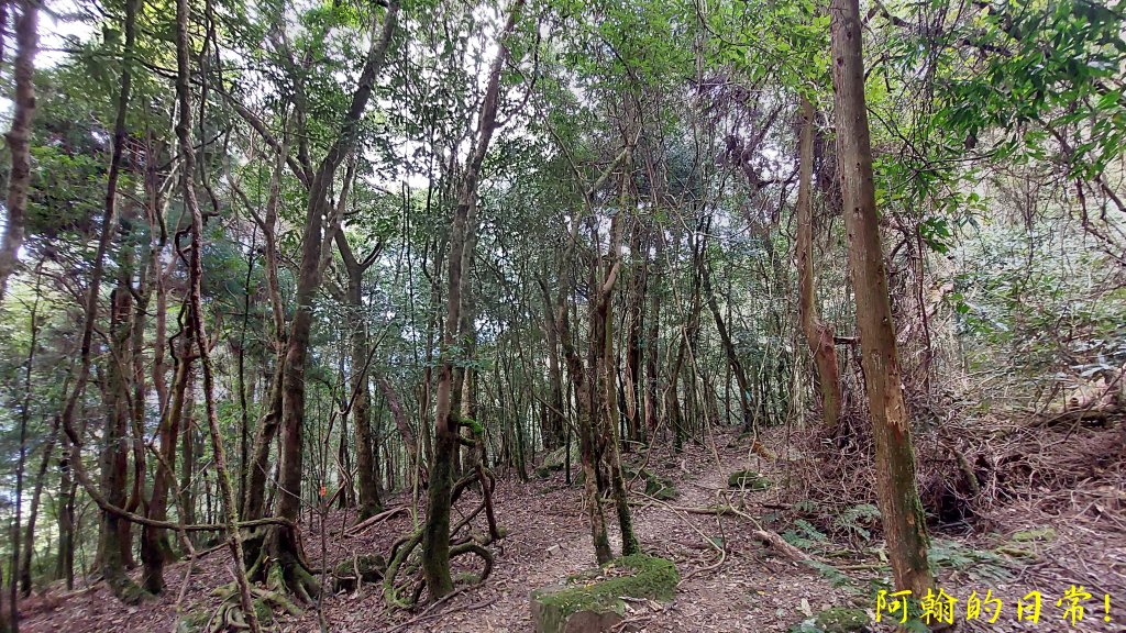 高島縱走_2687013