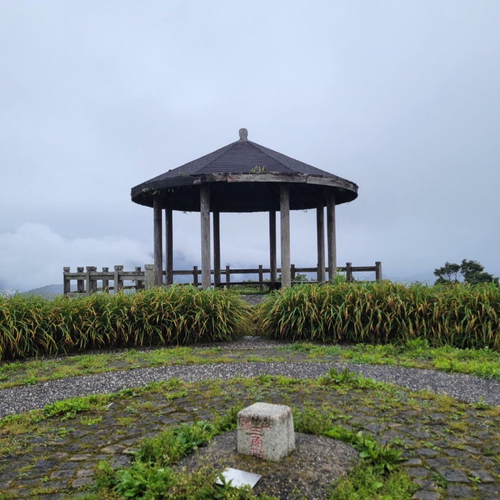 太麻里金針山封面圖