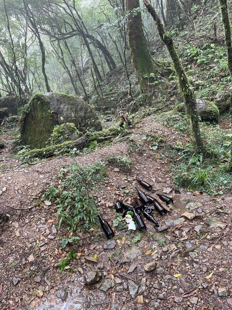 北插天山_2353438