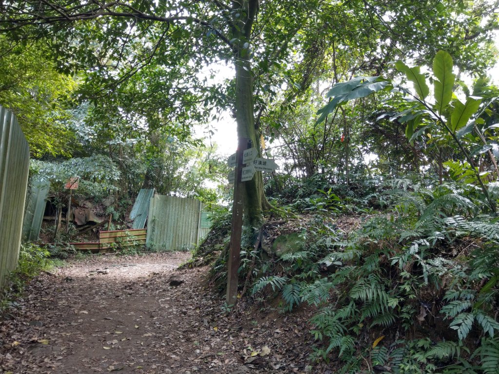 登桃園石門山(小百岳)&下石門水庫_870390