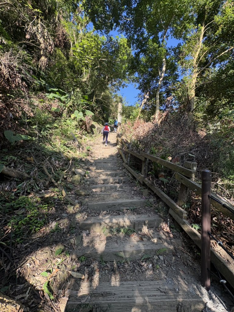 20251122獨立山國家步道+觀音石山+阿拔泉山_2944258