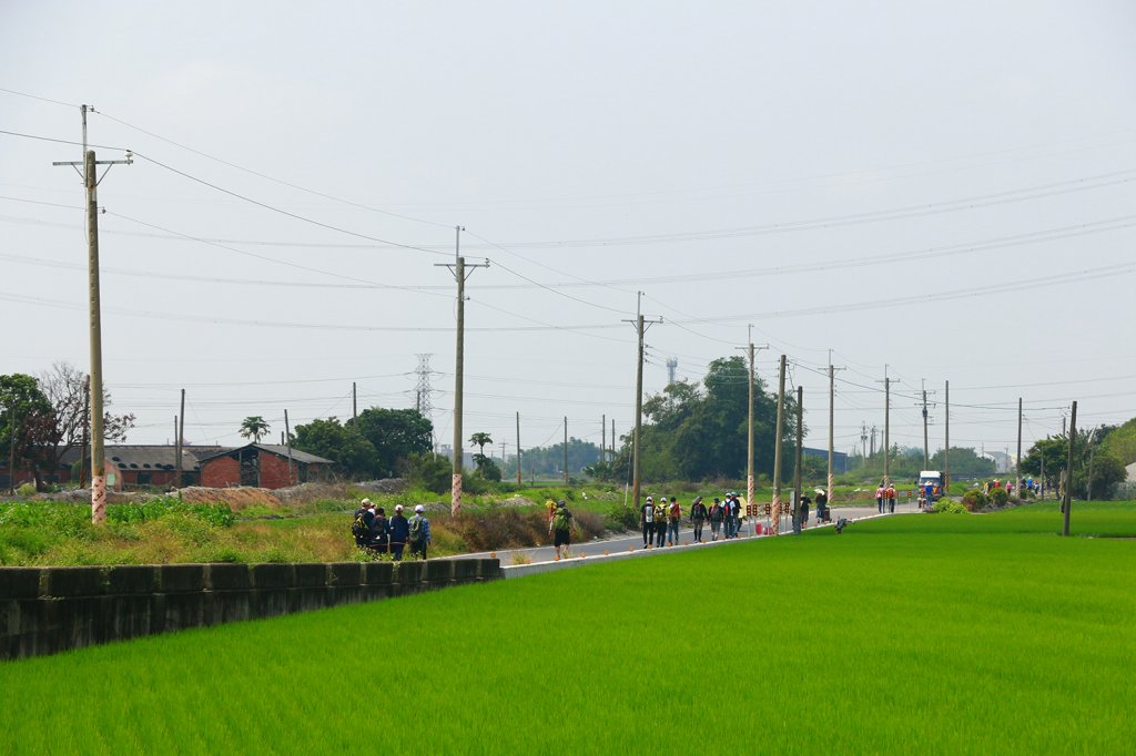 2019大甲媽祖遶境_566751