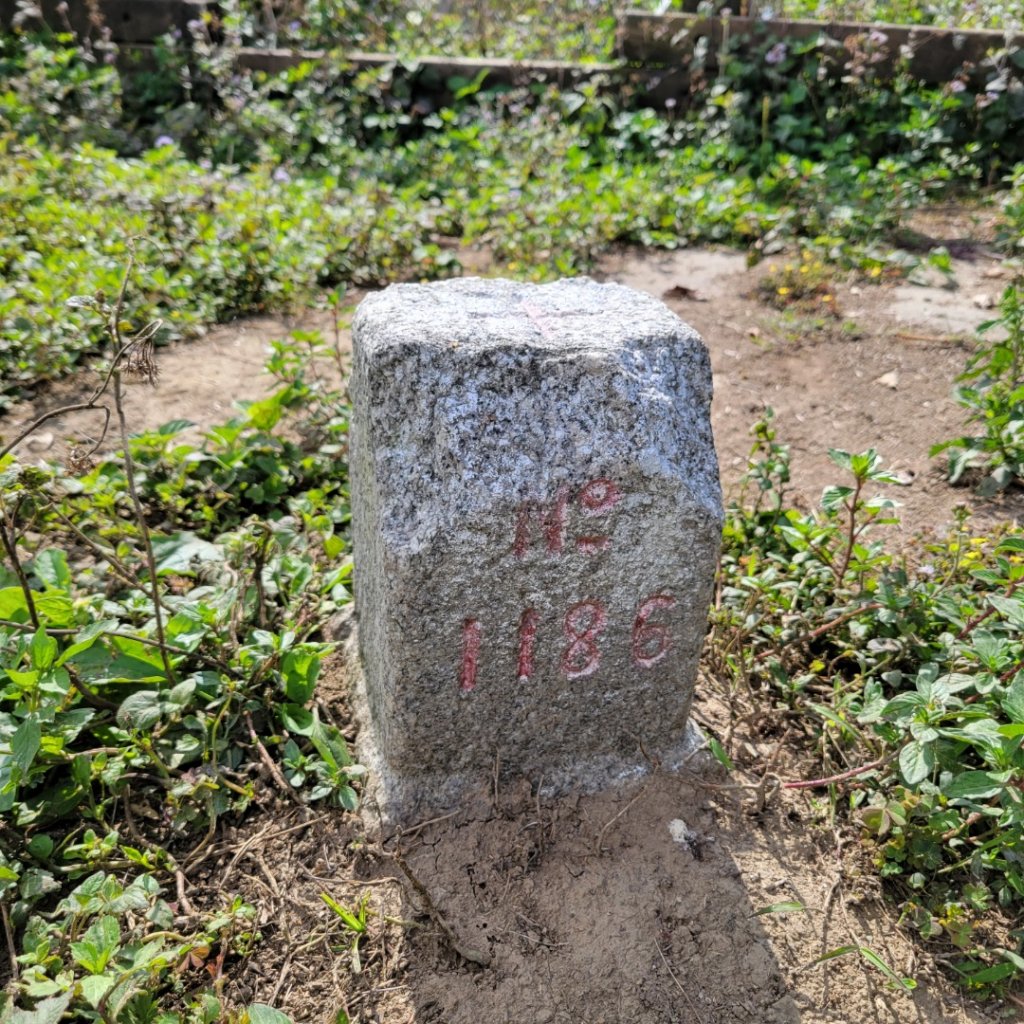 大埔大巃三角點步道_1667511