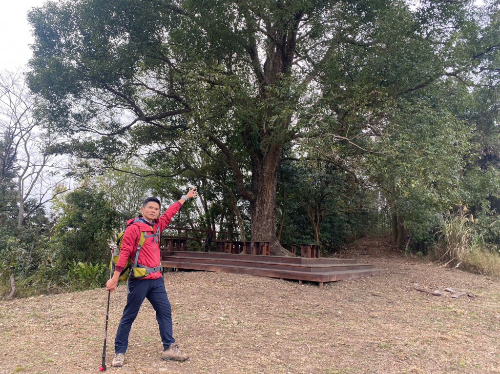 烏嘎彥竹林步道.馬都安古道【因為堅持 所以更顯珍貴】_2064449