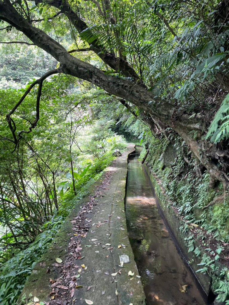 坪頂三圳_2258742