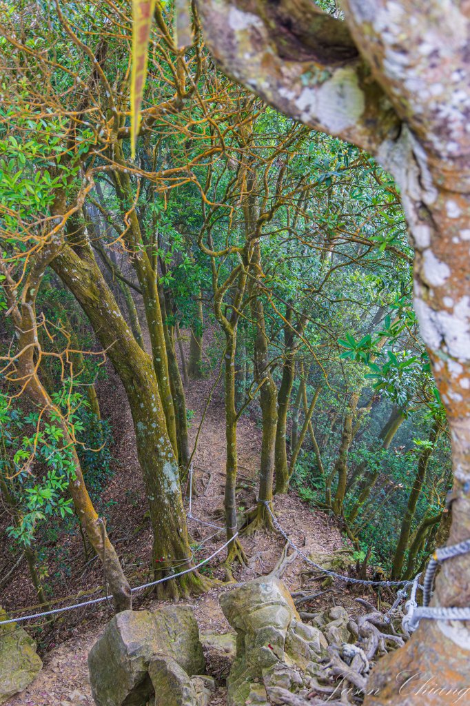 [苗栗]仙山封面圖