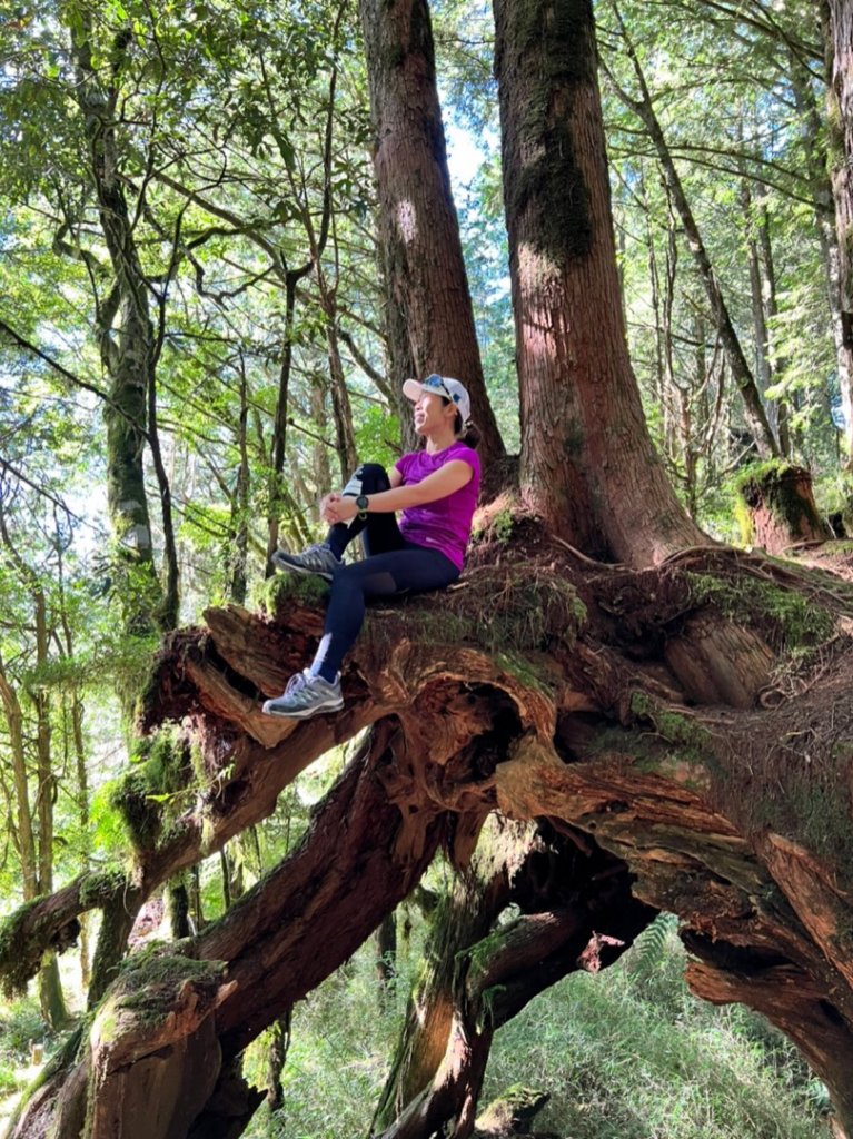 阿里山祝山日出，塔山步道，眠月線_1776884