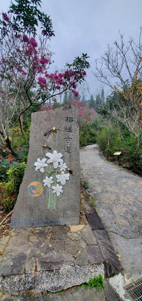2023-12-02梅峰古道、獵鷹尖一線天步道、伍龍步道環行一圈_2367060
