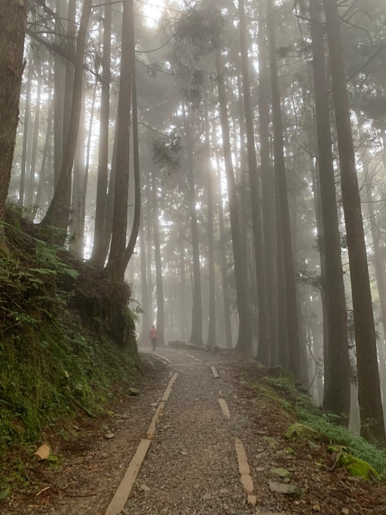 特富野古道封面圖