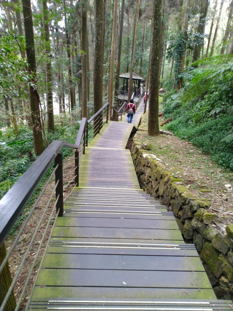 2023-03-04 奮起湖奮起步道_2057745