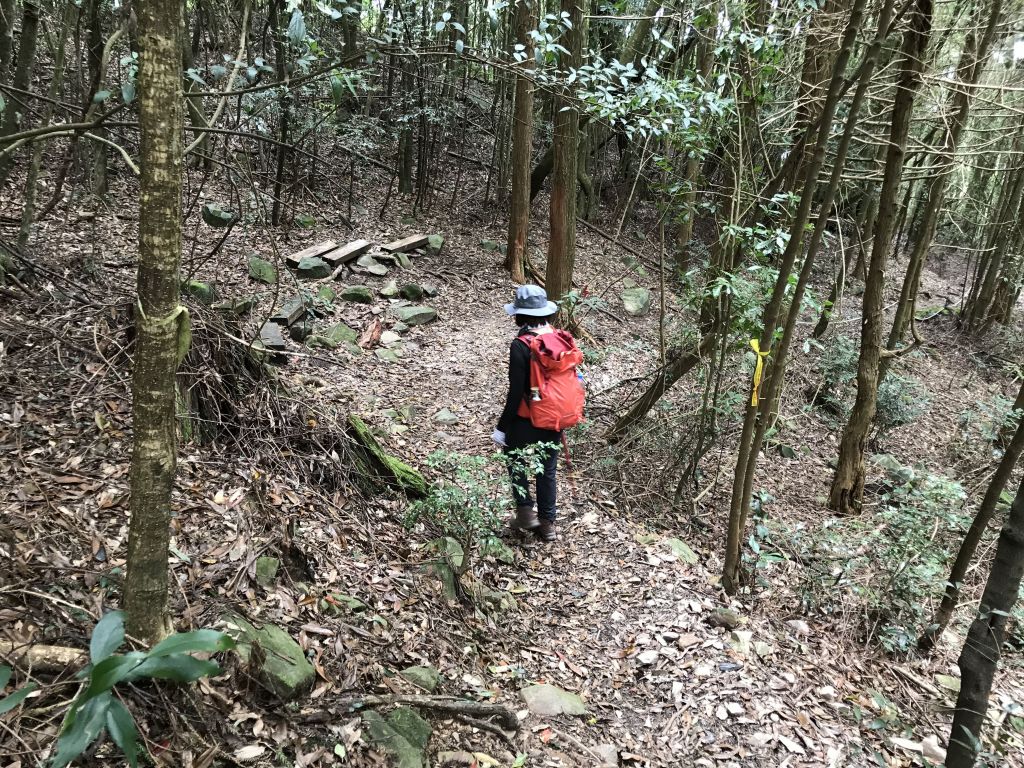 大雪山林道上屋我尾山_163372