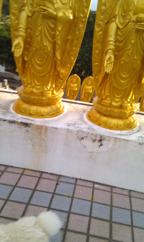 軍艦岩、丹鳳山親山步道_1809176