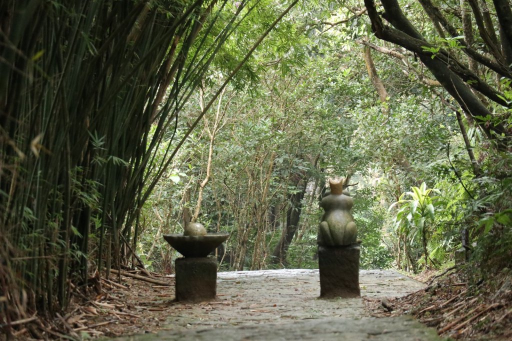 2019.01 大崙頭山微微雨封面圖