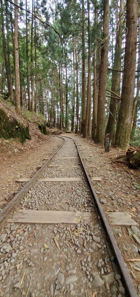 2021-02-27特富野古道_1380256