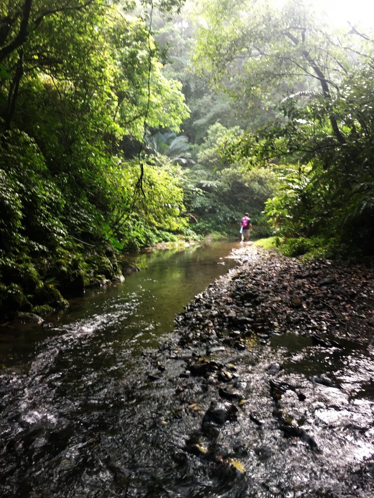 2020-5-3 坪溪古道-太和山_1027395