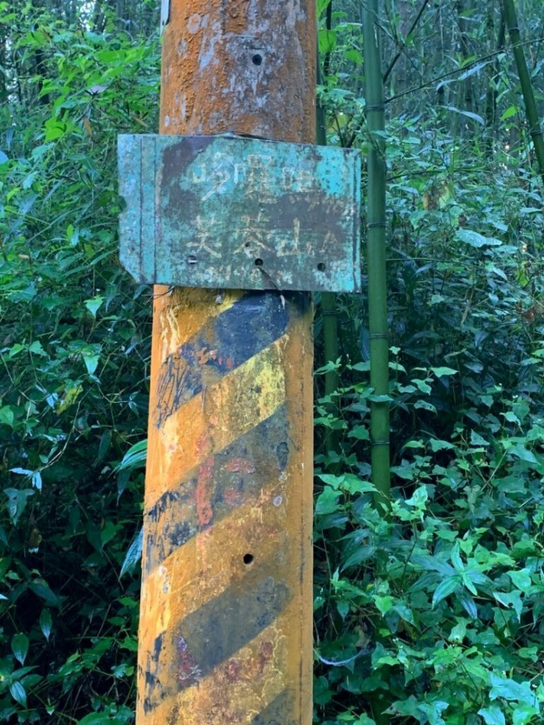 大凍山（小百岳）_1548173