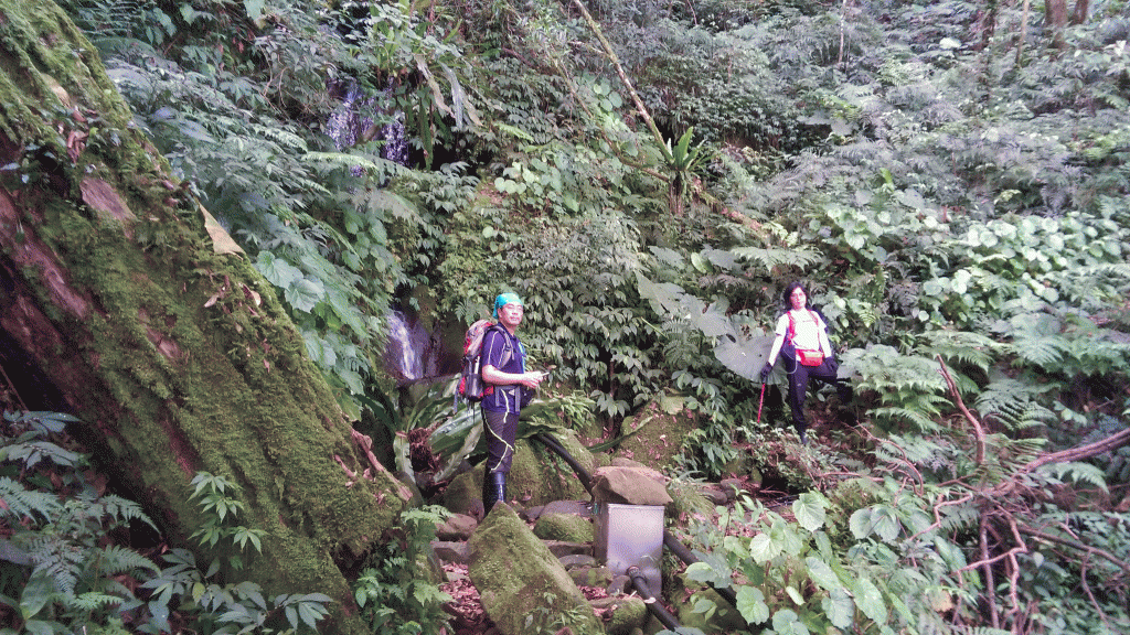 那結山(那是山，1520M-_329799