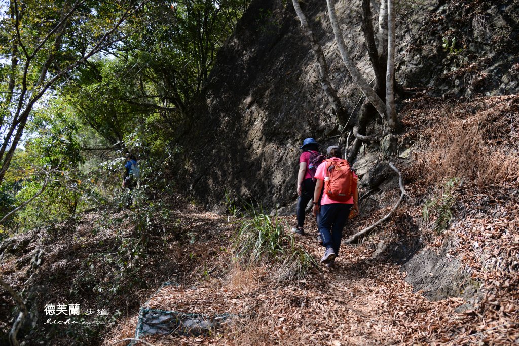 德芙蘭步道_1278439