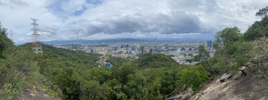 20240519金面山親山步道_2508065