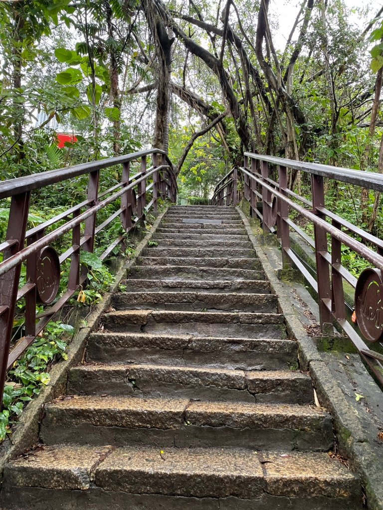 台北｜信義、南港 南港山_2423976