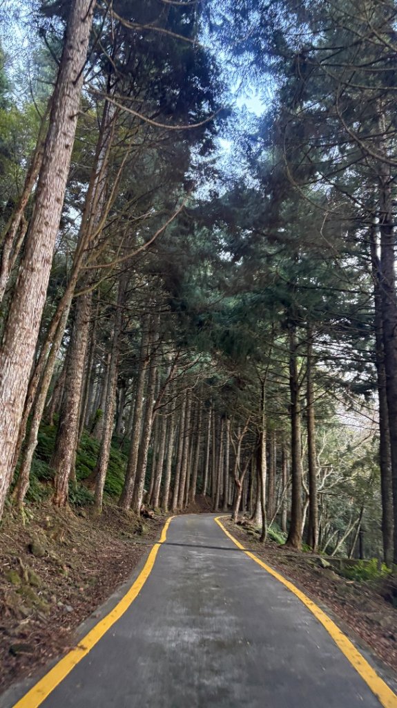 再也不爬囉（告別2025_2973146