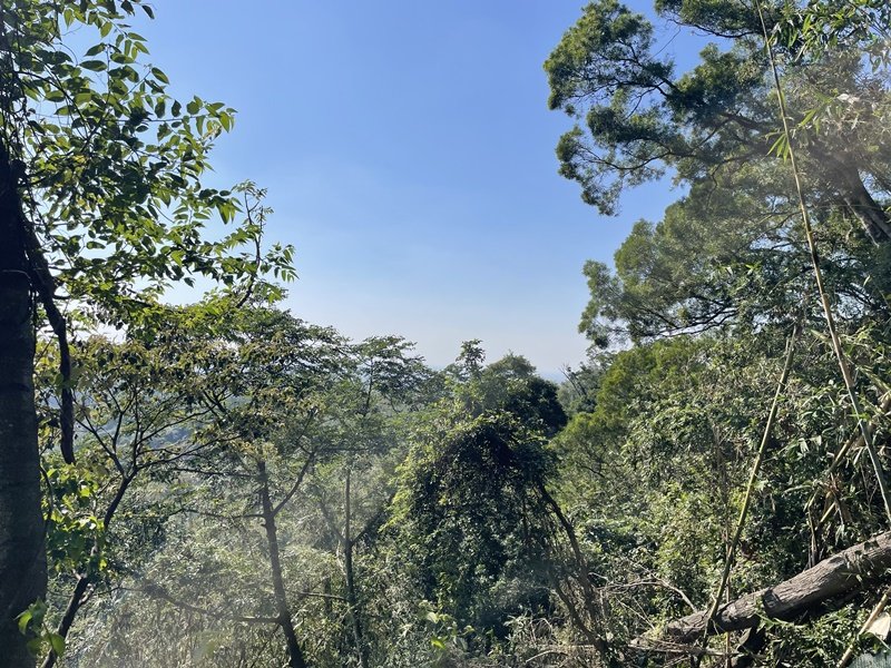 龍過脈森林步道_2662515