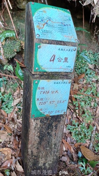 【南投魚池】中部四大名山之山高路遠。 水社大山登山步道_2037945