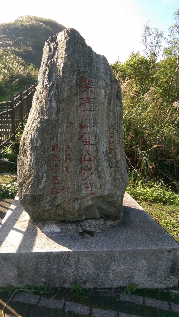 無耳茶壺山芒花季_82078