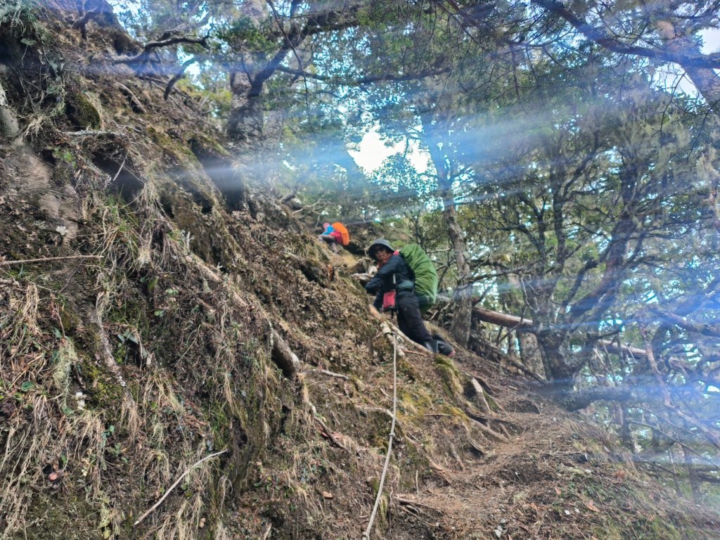 20240320 馬博8天縱走~第五天，馬里亞文路山，馬利加南山_2471186