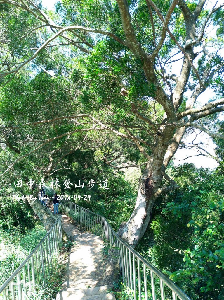 田中森林公園登山步道20180929_455521