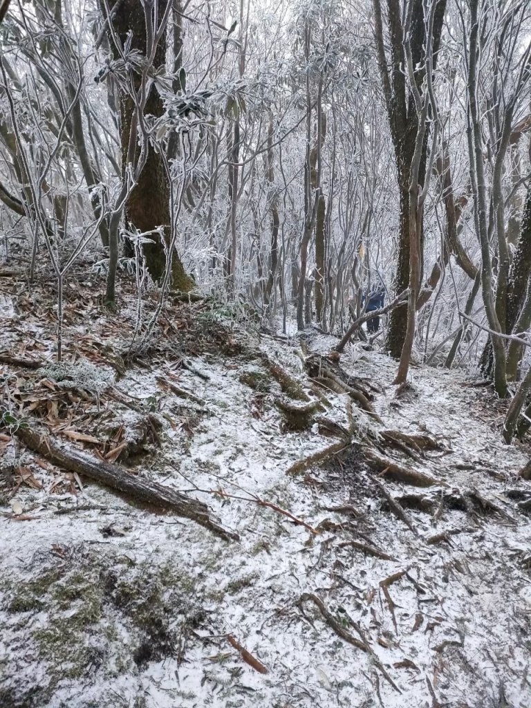 雪季北得拉曼_2956386