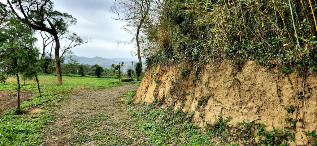 老銃櫃步道，三聯埤落羽松步道，金門觀止及翟山步道，台中知高圳步道_1983712