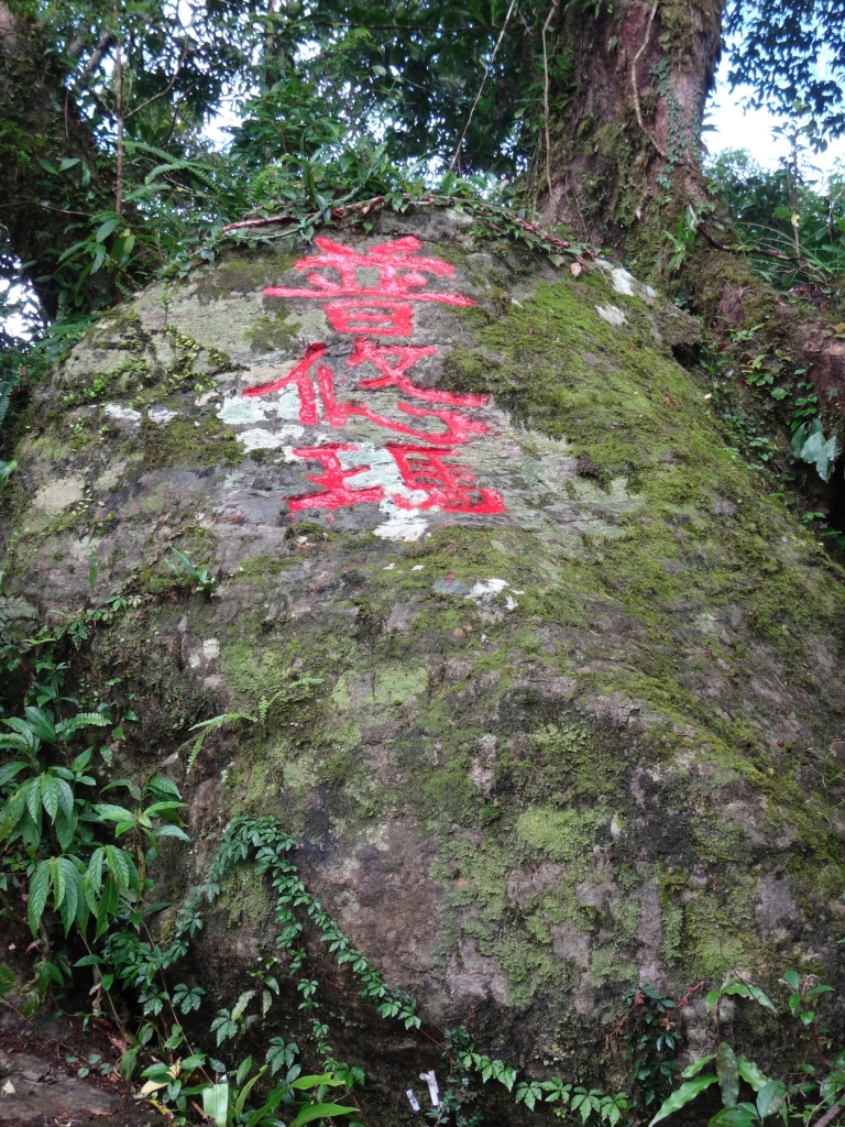 台東都蘭山_75459