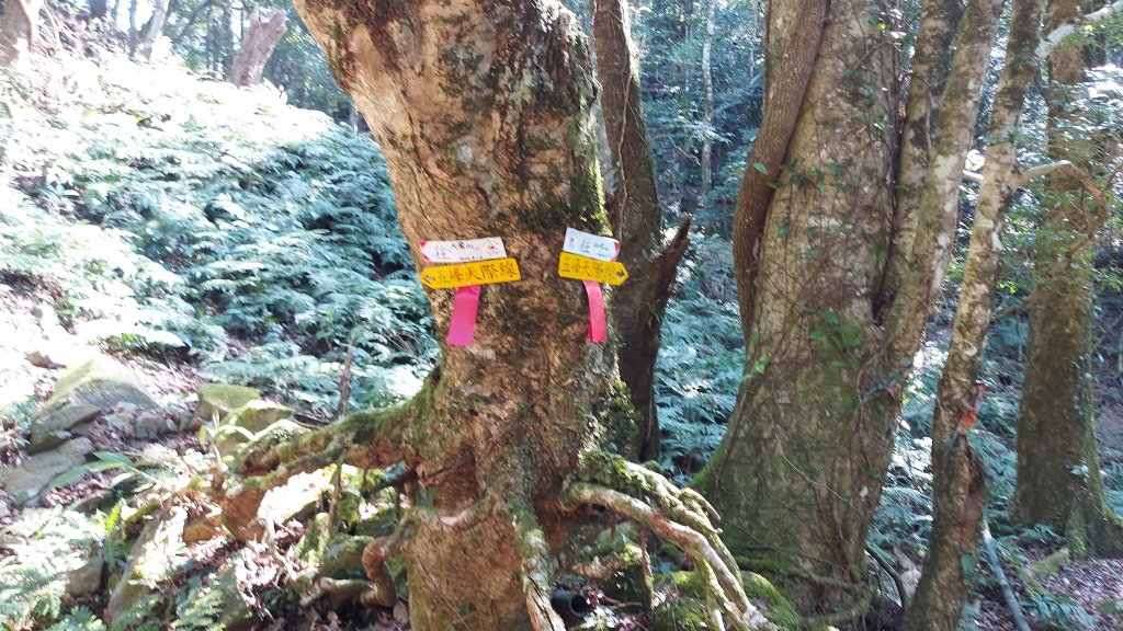 比大鳥縱走_1277873