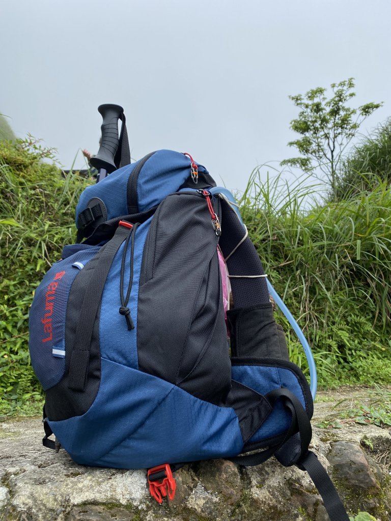 步道巡訪員 l 聖母登山步道109八月份巡訪_1085575