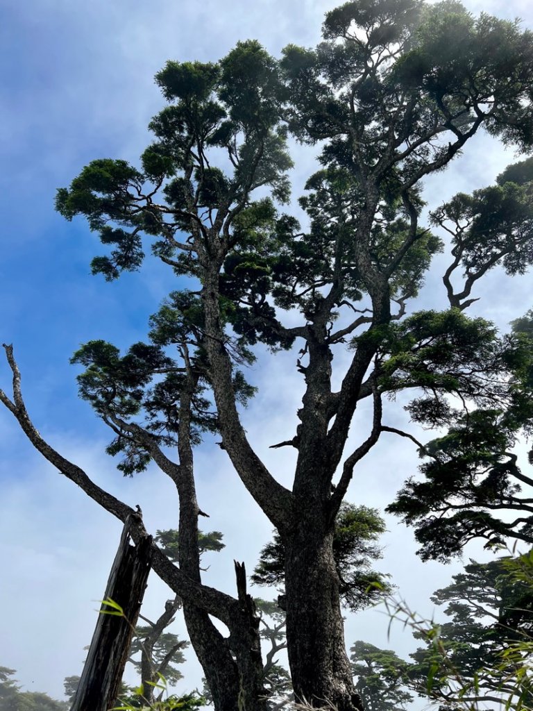 南橫三星 + 關山_1743902