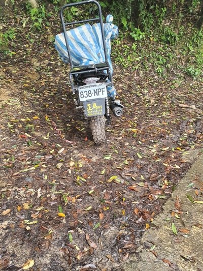 【花蓮秀林鄉】立霧山步道_905376