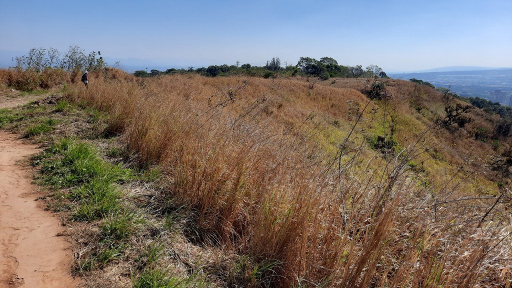 《台中》寒流暖陽｜知高圳步道學田山20221225_1968343