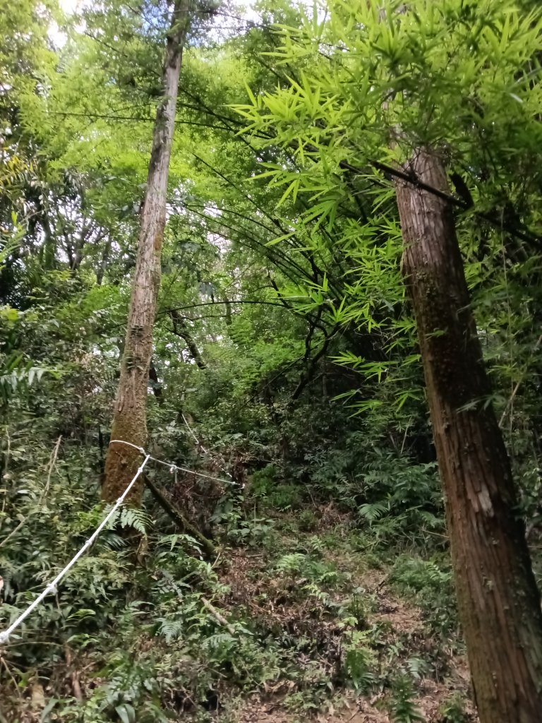平溪區南山坪蝙蝠洞(濕洞)+平湖山+平湖尖+蝙蝠洞(乾洞)O型_2833938