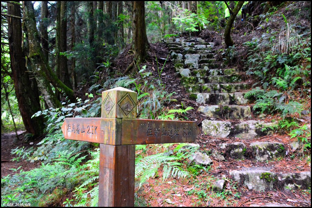 馬崙山..華麗的森林步道..谷關七雄 _350514