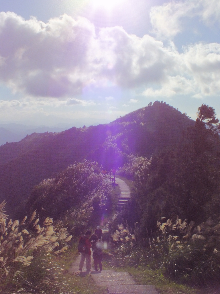 步道小旅行-賞芒聖地五分山_3880