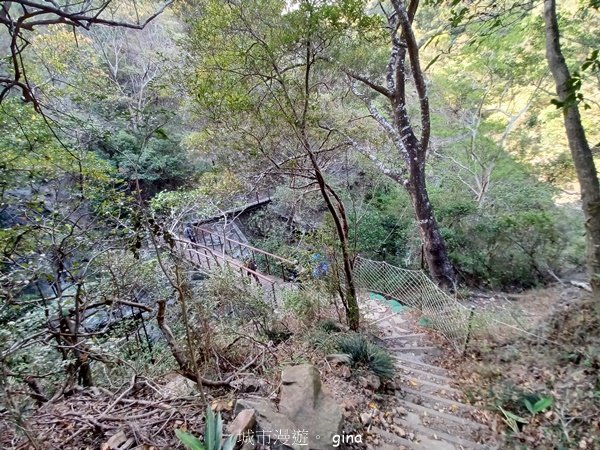 【屏東獅子鄉】海天一色。 台灣百大必訪步道~里龍山自然步道_2550734